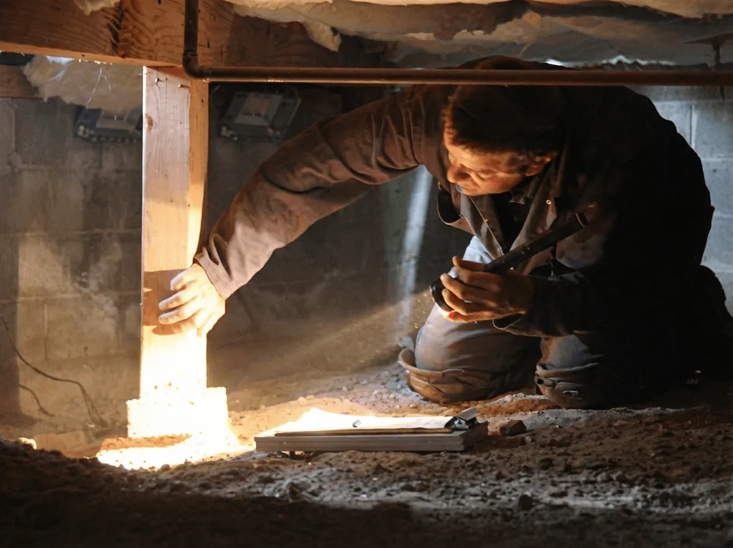 A professional inspecting wooden beams under the floor of a structure in Clearwater, FL
